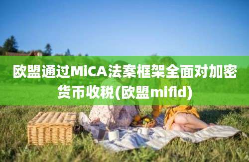 欧盟通过MiCA法案框架全面对加密货币收税(欧盟mifid)