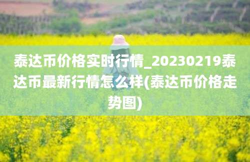 泰达币价格实时行情_20230219泰达币最新行情怎么样(泰达币价格走势图)