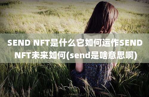 SEND NFT是什么它如何运作SEND NFT未来如何(send是啥意思啊)