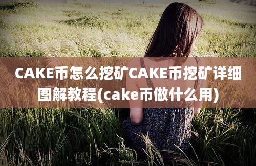 CAKE币怎么挖矿CAKE币挖矿详细图解教程(cake币做什么用)