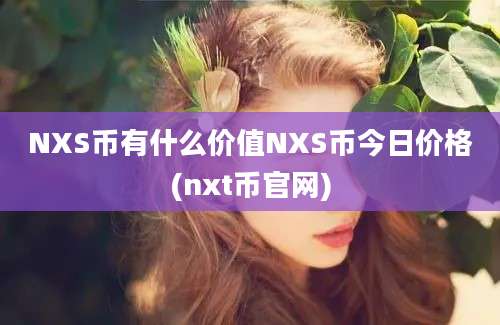 NXS币有什么价值NXS币今日价格(nxt币官网)