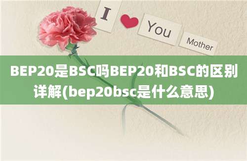 BEP20是BSC吗BEP20和BSC的区别详解(bep20bsc是什么意思)