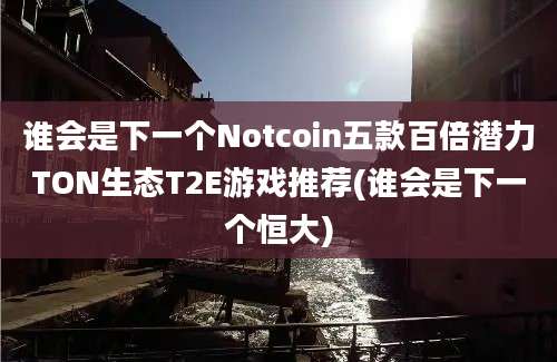 谁会是下一个Notcoin五款百倍潜力TON生态T2E游戏推荐(谁会是下一个恒大)