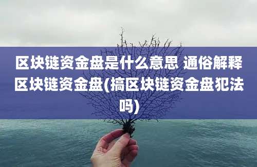 区块链资金盘是什么意思 通俗解释区块链资金盘(搞区块链资金盘犯法吗)