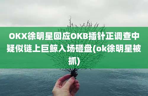 OKX徐明星回应OKB插针正调查中疑似链上巨鲸入场砸盘(ok徐明星被抓)