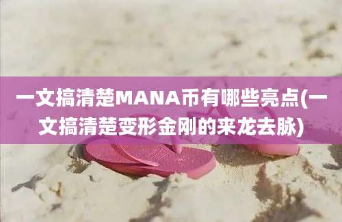 一文搞清楚MANA币有哪些亮点(一文搞清楚变形金刚的来龙去脉)