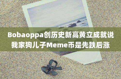 Bobaoppa创历史新高黄立成就说我家狗儿子Meme币是先跌后涨