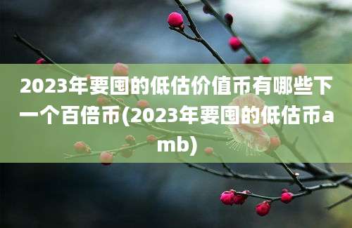 2023年要囤的低估价值币有哪些下一个百倍币(2023年要囤的低估币amb)