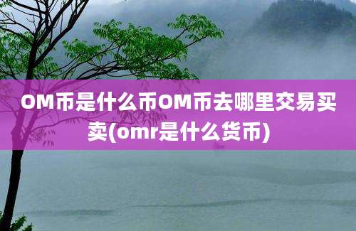 OM币是什么币OM币去哪里交易买卖(omr是什么货币)