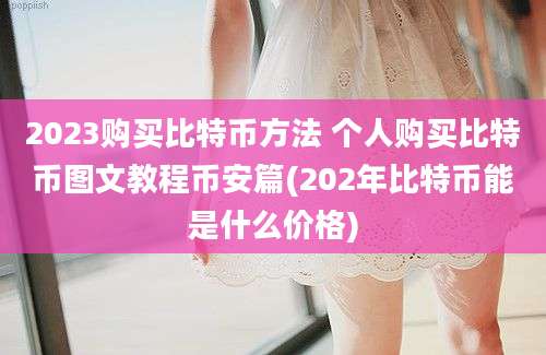 2023购买比特币方法 个人购买比特币图文教程币安篇(202年比特币能是什么价格)