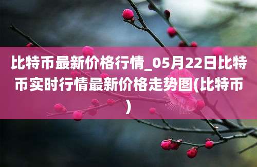 比特币最新价格行情_05月22日比特币实时行情最新价格走势图(比特币)