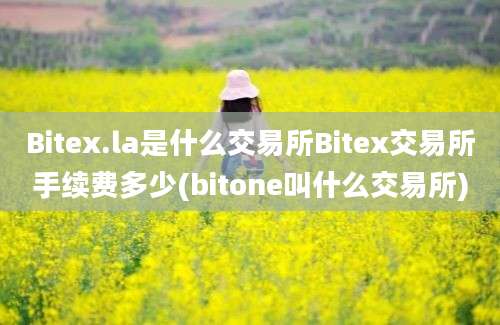 Bitex.la是什么交易所Bitex交易所手续费多少(bitone叫什么交易所)