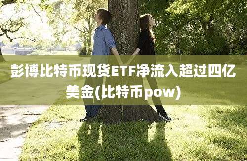 彭博比特币现货ETF净流入超过四亿美金(比特币pow)