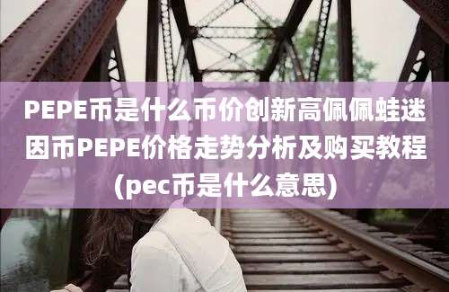 PEPE币是什么币价创新高佩佩蛙迷因币PEPE价格走势分析及购买教程(pec币是什么意思)