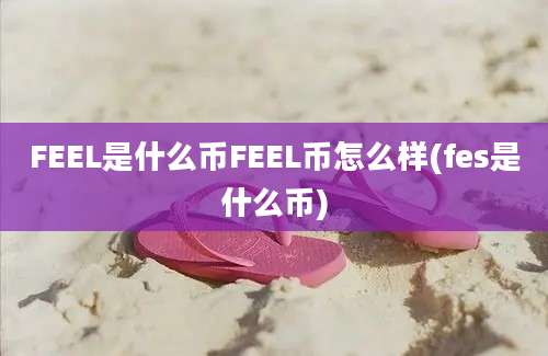 FEEL是什么币FEEL币怎么样(fes是什么币)