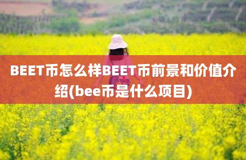 BEET币怎么样BEET币前景和价值介绍(bee币是什么项目)