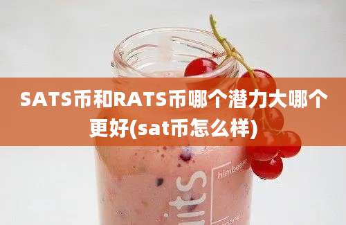 SATS币和RATS币哪个潜力大哪个更好(sat币怎么样)