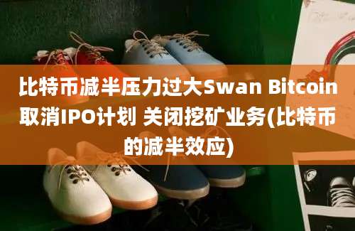 比特币减半压力过大Swan Bitcoin取消IPO计划 关闭挖矿业务(比特币的减半效应)