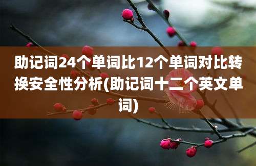 助记词24个单词比12个单词对比转换安全性分析(助记词十二个英文单词)