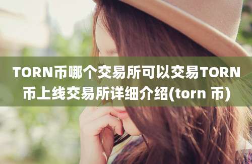 TORN币哪个交易所可以交易TORN币上线交易所详细介绍(torn 币)