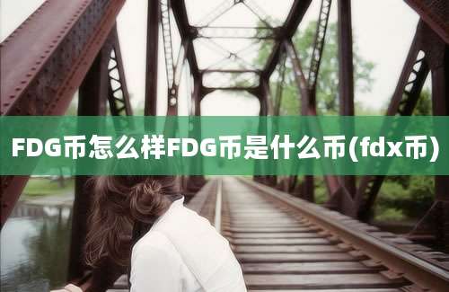 FDG币怎么样FDG币是什么币(fdx币)