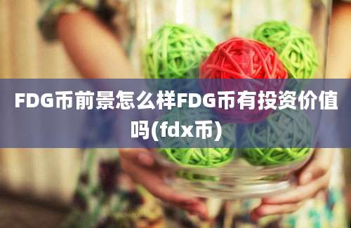 FDG币前景怎么样FDG币有投资价值吗(fdx币)