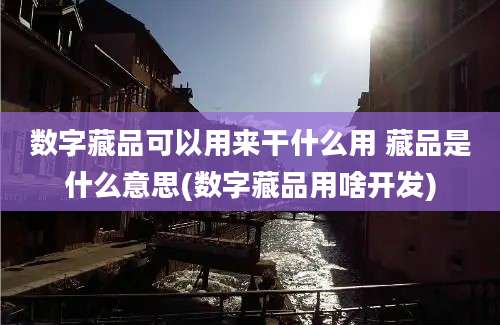 数字藏品可以用来干什么用 藏品是什么意思(数字藏品用啥开发)