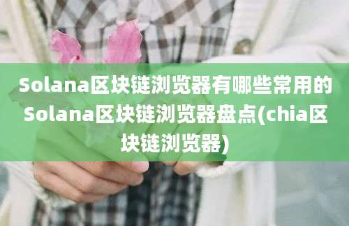 Solana区块链浏览器有哪些常用的Solana区块链浏览器盘点(chia区块链浏览器)