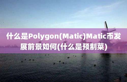 什么是Polygon(Matic)Matic币发展前景如何(什么是预制菜)