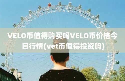 VELO币值得购买吗VELO币价格今日行情(vet币值得投资吗)