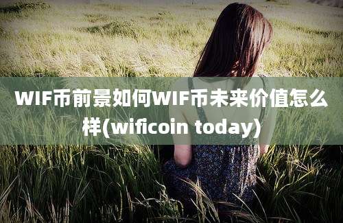 WIF币前景如何WIF币未来价值怎么样(wificoin today)