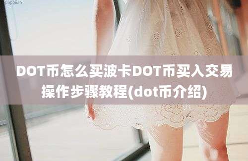 DOT币怎么买波卡DOT币买入交易操作步骤教程(dot币介绍)