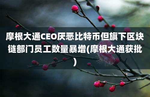 摩根大通CEO厌恶比特币但旗下区块链部门员工数量暴增(摩根大通获批)