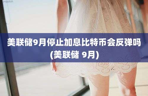 美联储9月停止加息比特币会反弹吗(美联储 9月)