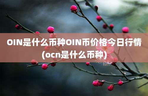 OIN是什么币种OIN币价格今日行情(ocn是什么币种)