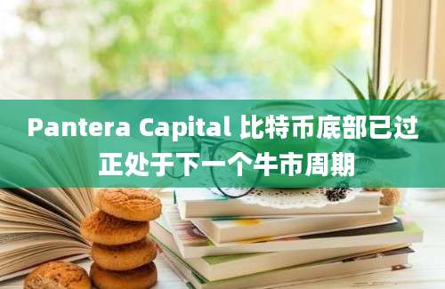 Pantera Capital 比特币底部已过 正处于下一个牛市周期