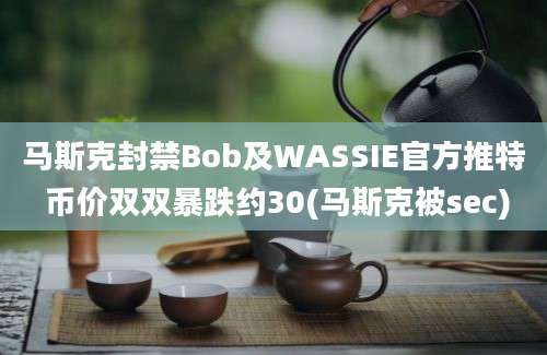 马斯克封禁Bob及WASSIE官方推特 币价双双暴跌约30(马斯克被sec)