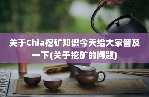 关于Chia挖矿知识今天给大家普及一下(关于挖矿的问题)