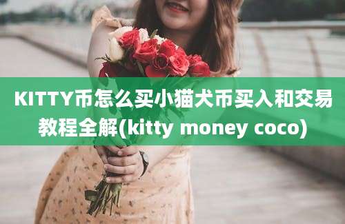 KITTY币怎么买小猫犬币买入和交易教程全解(kitty money coco)