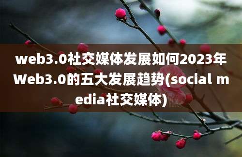 web3.0社交媒体发展如何2023年Web3.0的五大发展趋势(social media社交媒体)