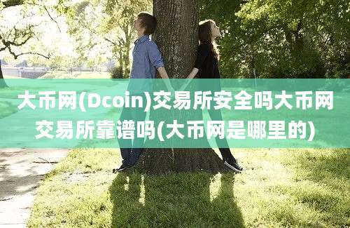 大币网(Dcoin)交易所安全吗大币网交易所靠谱吗(大币网是哪里的)