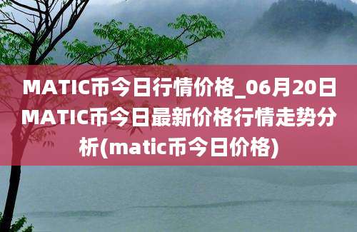 MATIC币今日行情价格_06月20日MATIC币今日最新价格行情走势分析(matic币今日价格)