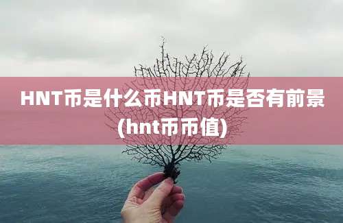 HNT币是什么币HNT币是否有前景(hnt币币值)