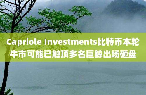 Capriole Investments比特币本轮牛市可能已触顶多名巨鲸出场砸盘