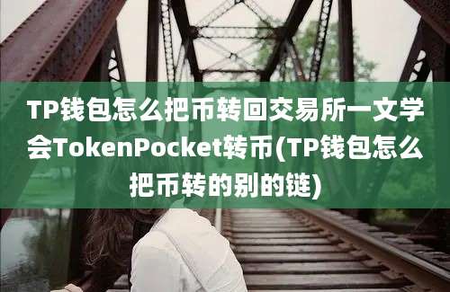 TP钱包怎么把币转回交易所一文学会TokenPocket转币(TP钱包怎么把币转的别的链)