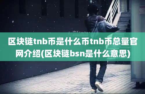 区块链tnb币是什么币tnb币总量官网介绍(区块链bsn是什么意思)