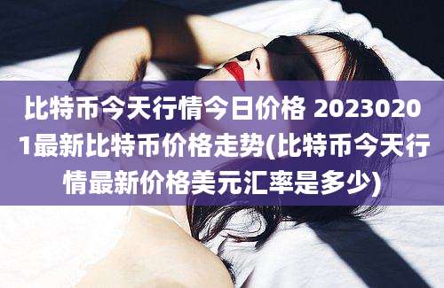 比特币今天行情今日价格 20230201最新比特币价格走势(比特币今天行情最新价格美元汇率是多少)