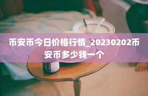 币安币今日价格行情_20230202币安币多少钱一个