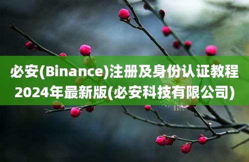 必安(Binance)注册及身份认证教程2024年最新版(必安科技有限公司)