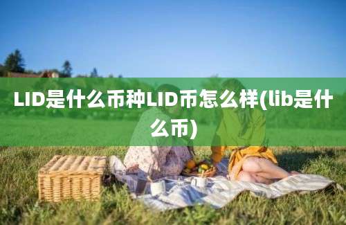 LID是什么币种LID币怎么样(lib是什么币)